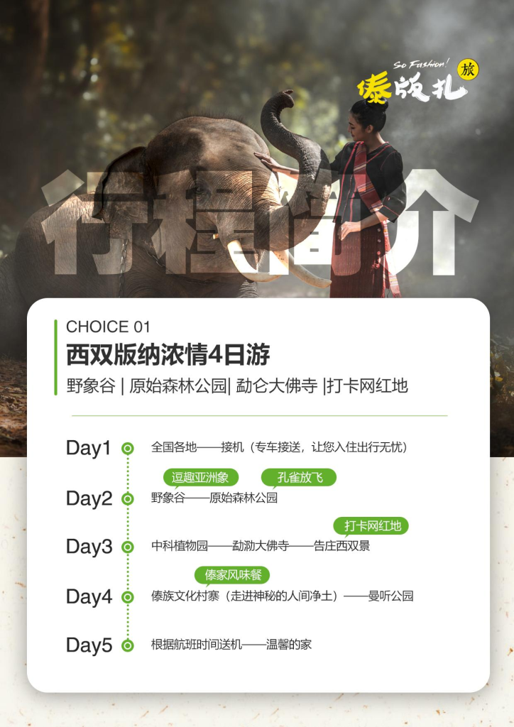 图片[3]-云南-西双版纳浓情5天4晚-梦初商城