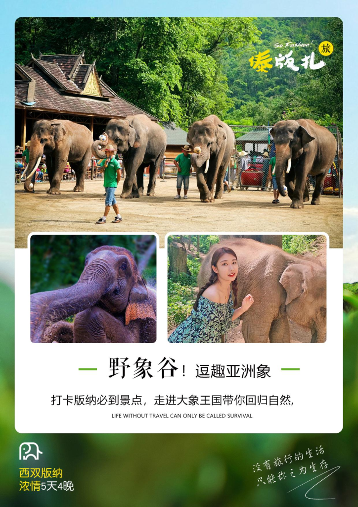 图片[4]-云南-西双版纳浓情5天4晚-梦初商城