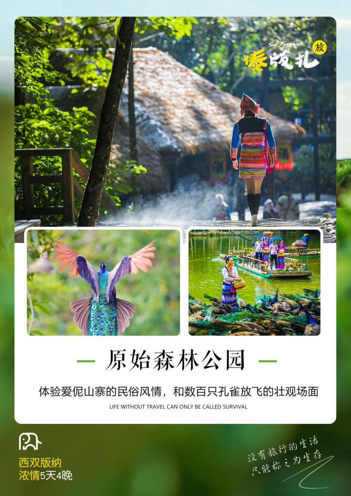 图片[5]-云南-西双版纳浓情5天4晚-梦初商城