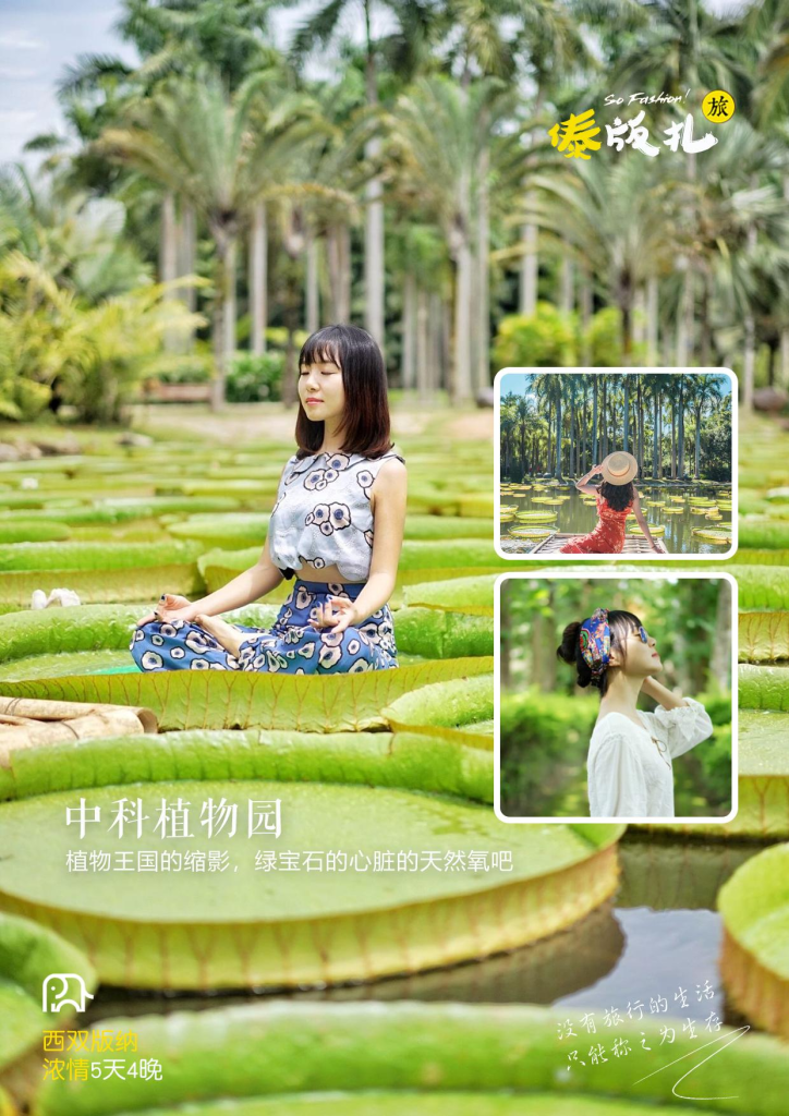 图片[6]-云南-西双版纳浓情5天4晚-梦初商城