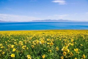 幻灯片-梦初商城