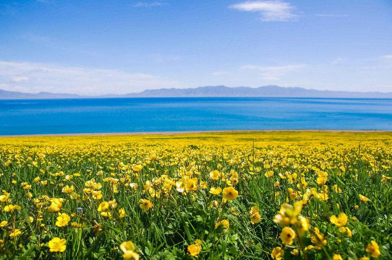 幻灯片-梦初商城