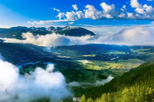 幻灯片-梦初商城